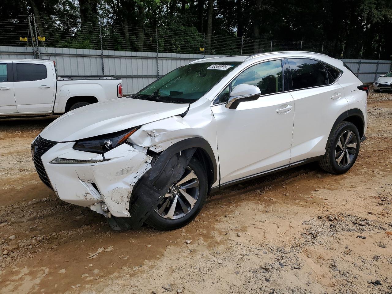 2019 LEXUS NX 300 300 Luxury