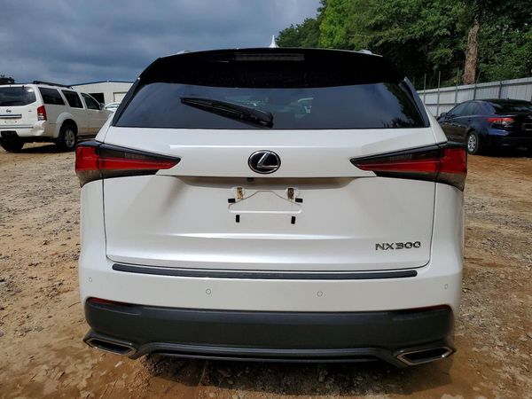 2019 LEXUS NX 300 300 Luxury