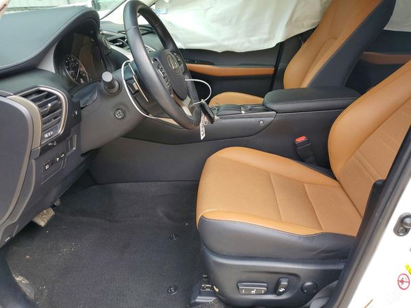 2019 LEXUS NX 300 300 Luxury