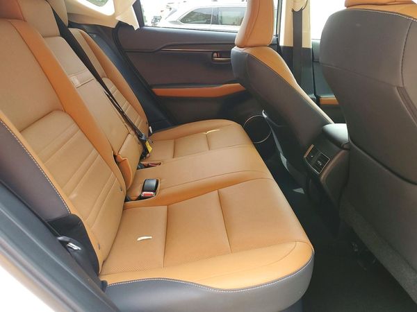 2019 LEXUS NX 300 300 Luxury