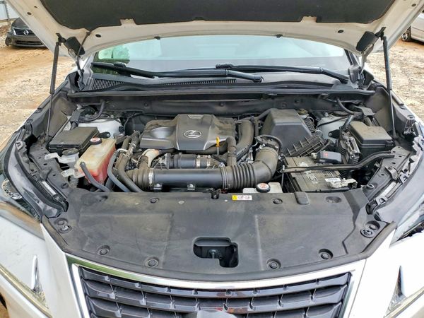 2019 LEXUS NX 300 300 Luxury