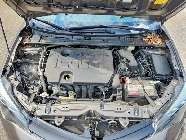 2019 TOYOTA COROLLA L/LE/SE/XLE/XSE