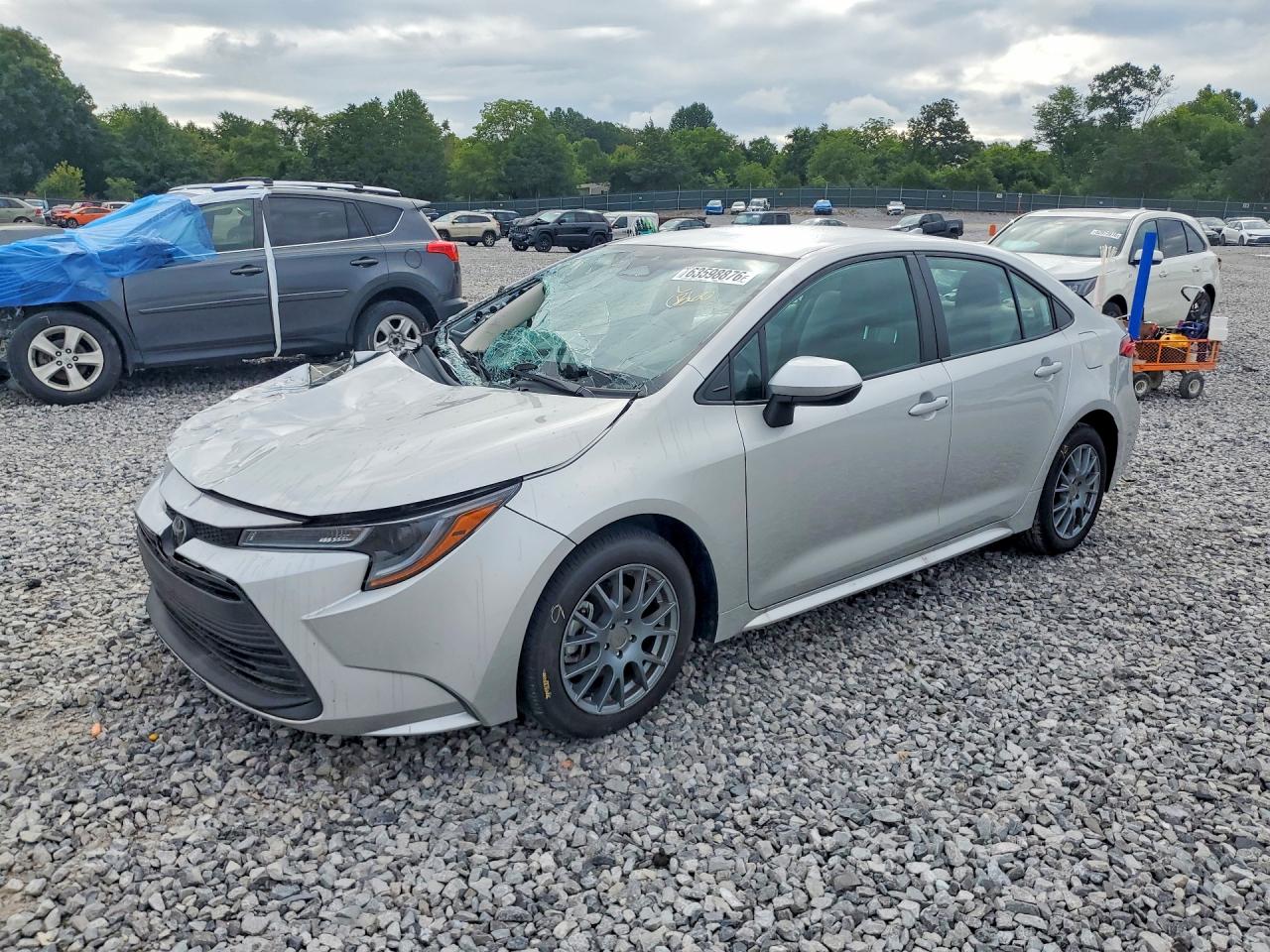 2025 TOYOTA COROLLA