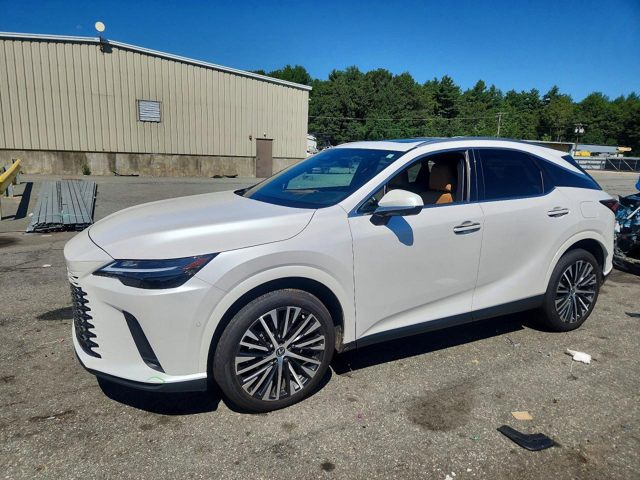 2024 LEXUS RX 350