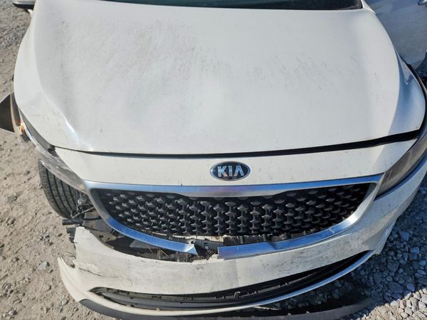 2015 KIA SEDONA L - Low level