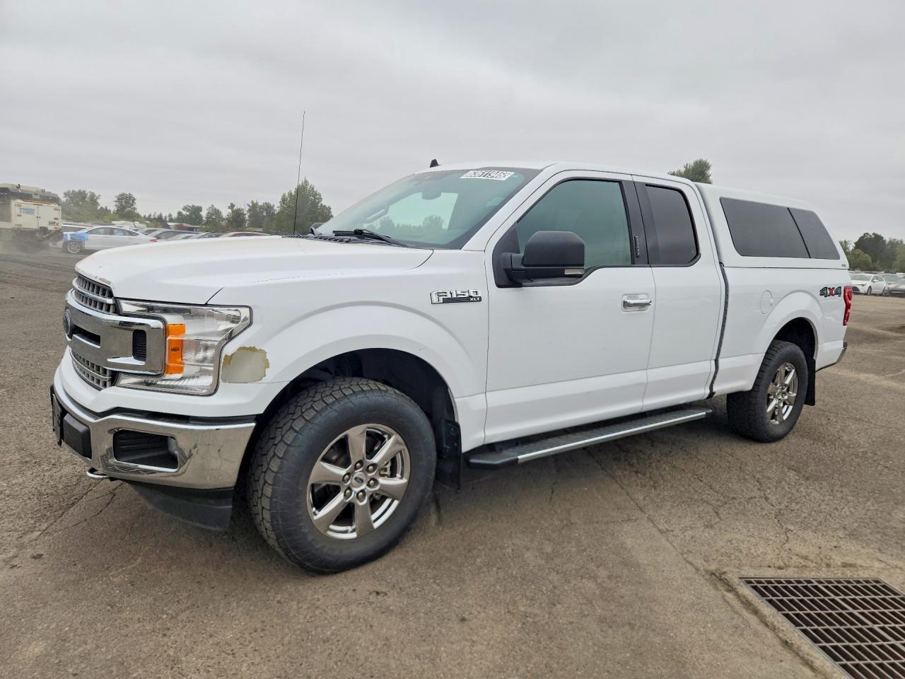 2019 FORD F150