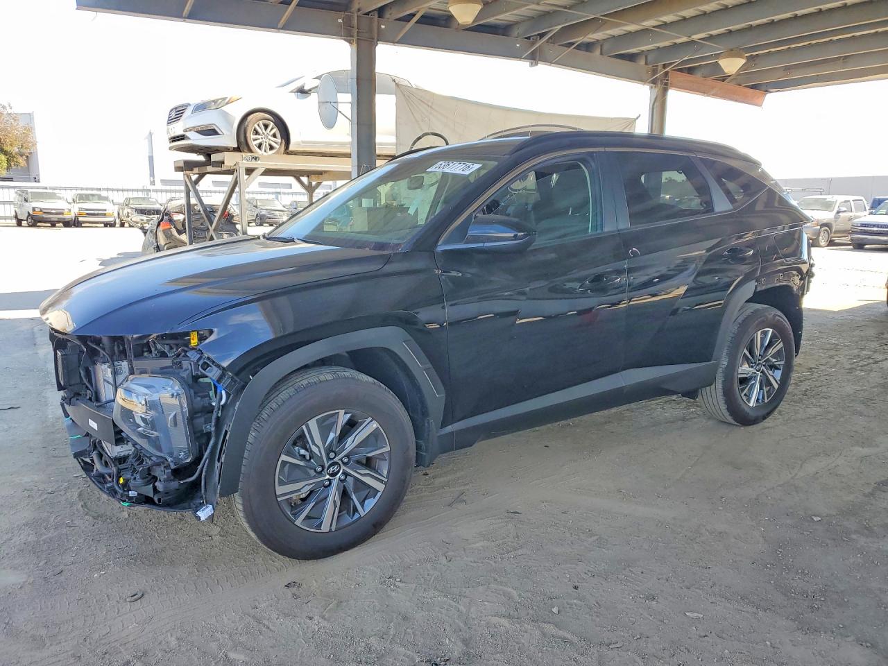2024 HYUNDAI TUCSON Blue