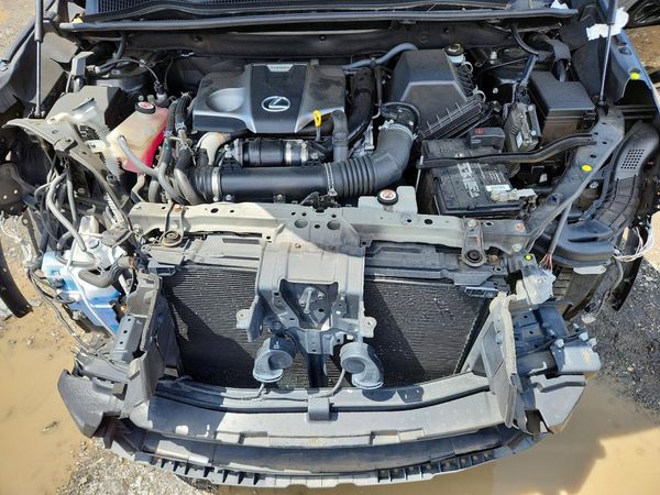 2020 LEXUS NX 300 F Sport Comfort