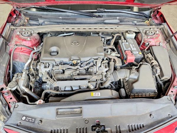 2019 TOYOTA CAMRY L/LE/SE/XLE