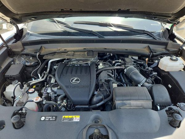 2024 LEXUS TX 500H