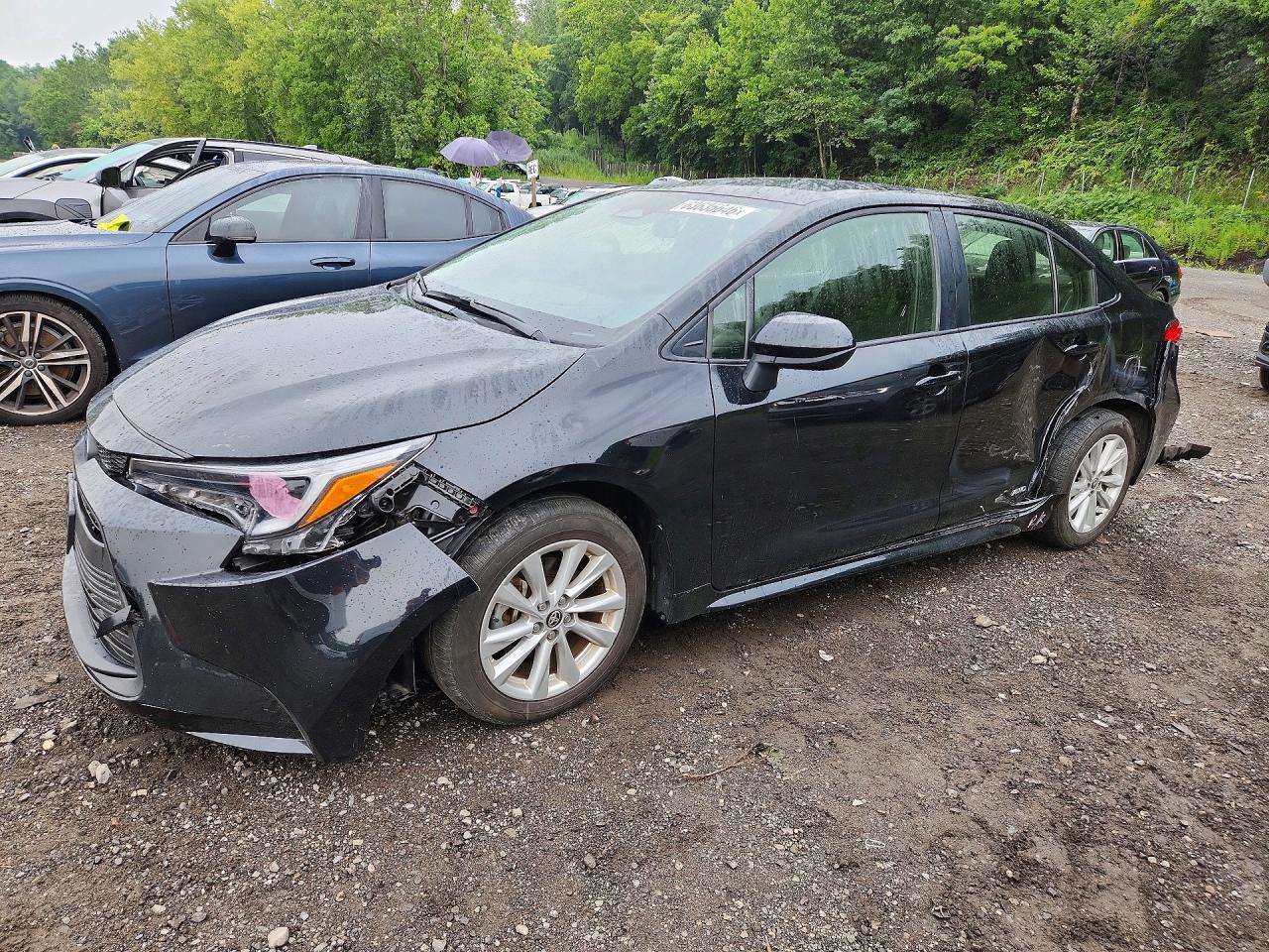 2024 TOYOTA COROLLA
