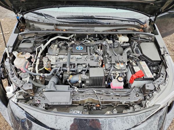 2024 TOYOTA COROLLA