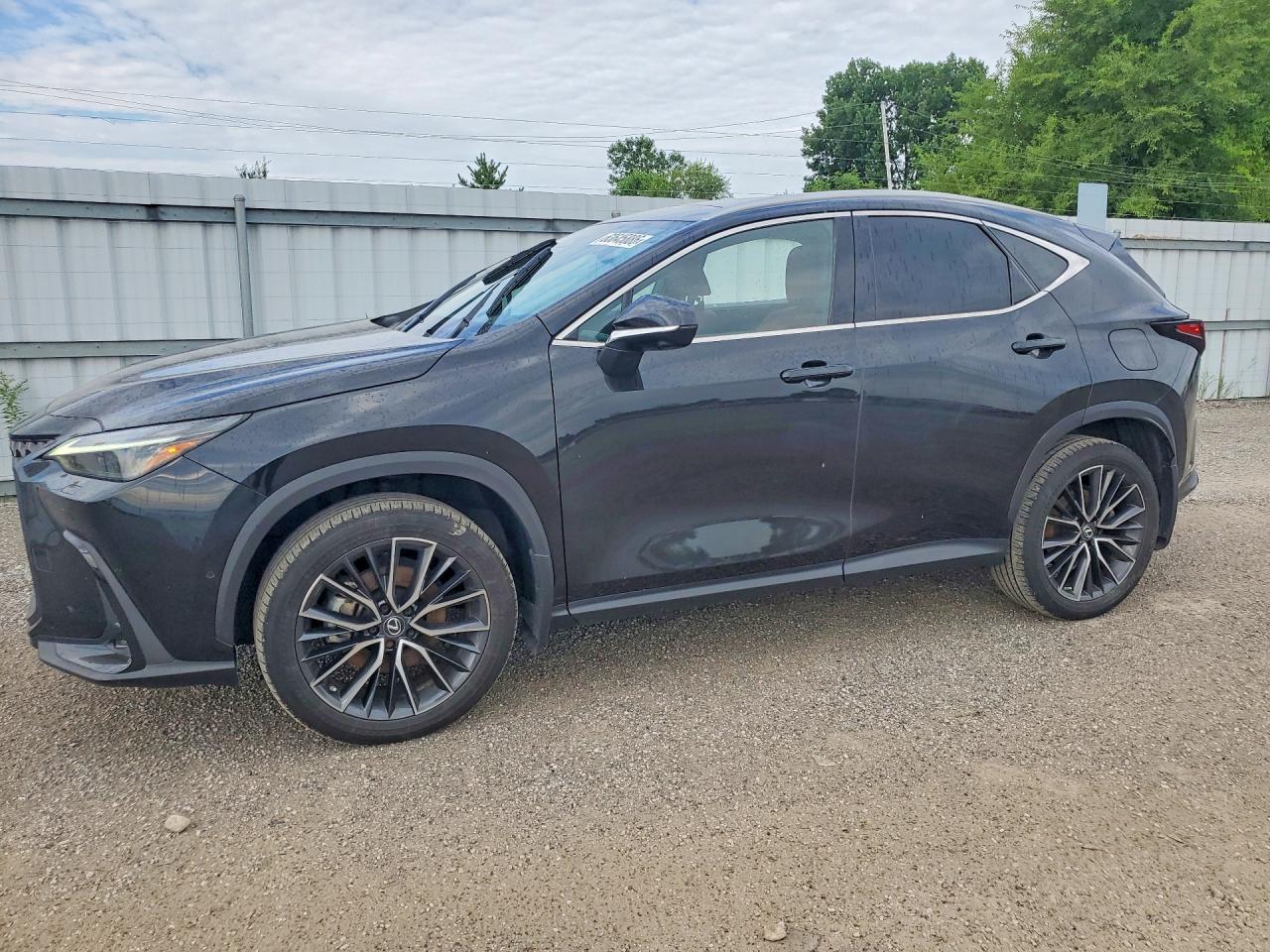 2022 LEXUS NX 350h Premium