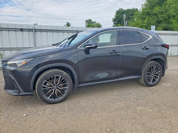 2022 LEXUS NX 350h Premium
