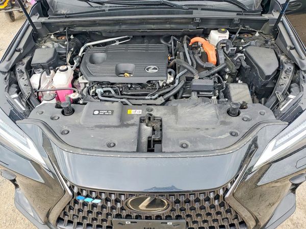2022 LEXUS NX 350h Premium