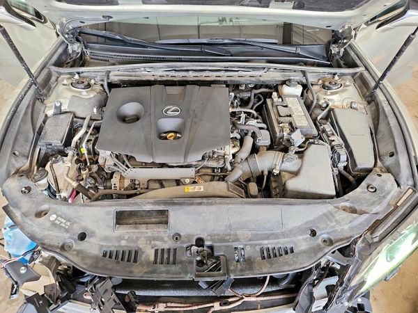 2021 LEXUS ES 250 350 Premium