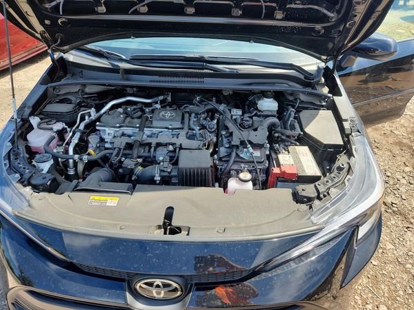 2026 TOYOTA COROLLA