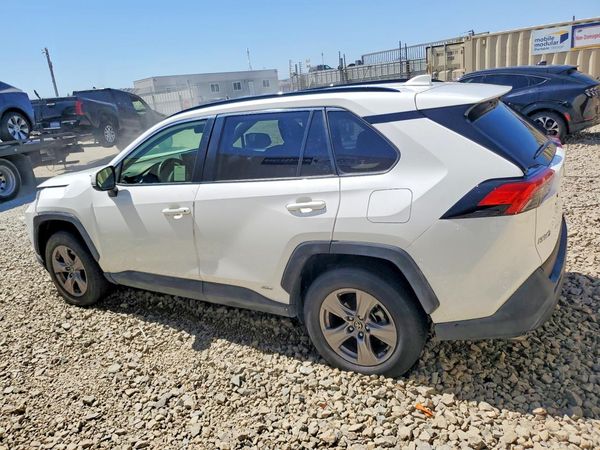 2024 TOYOTA RAV4 LE