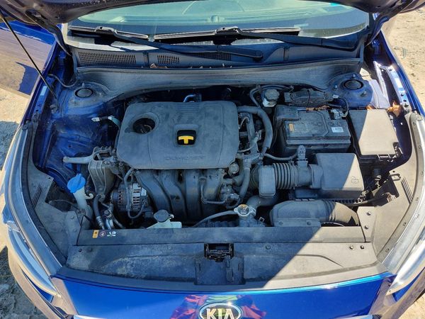 2019 KIA FORTE FE/LX/LXS