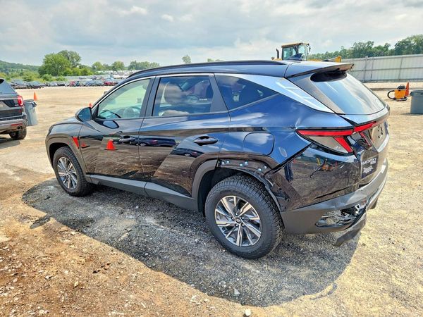 2023 HYUNDAI TUCSON Blue