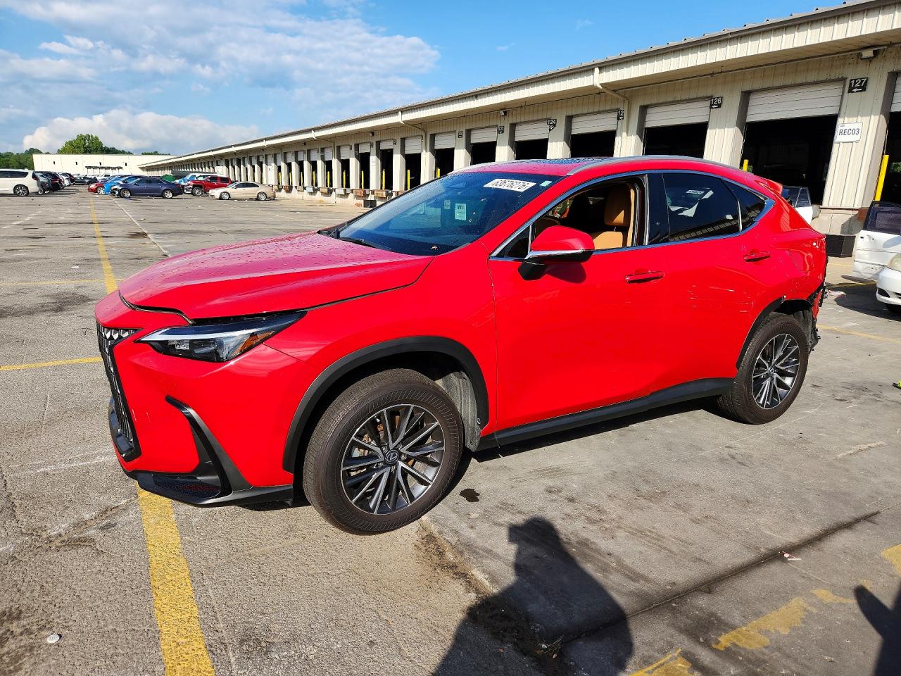 2024 LEXUS NX