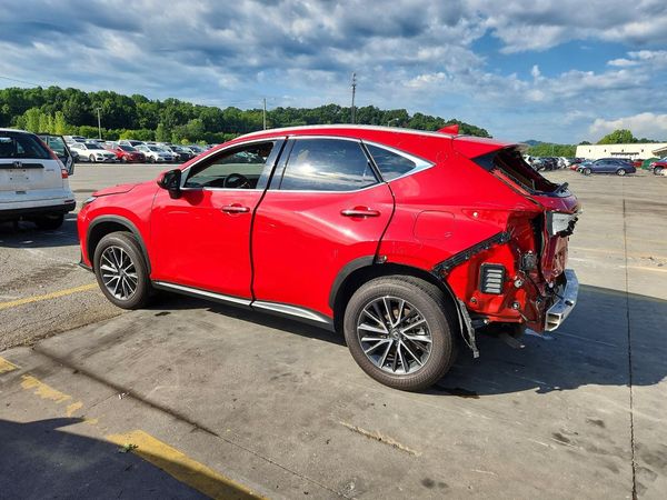 2024 LEXUS NX
