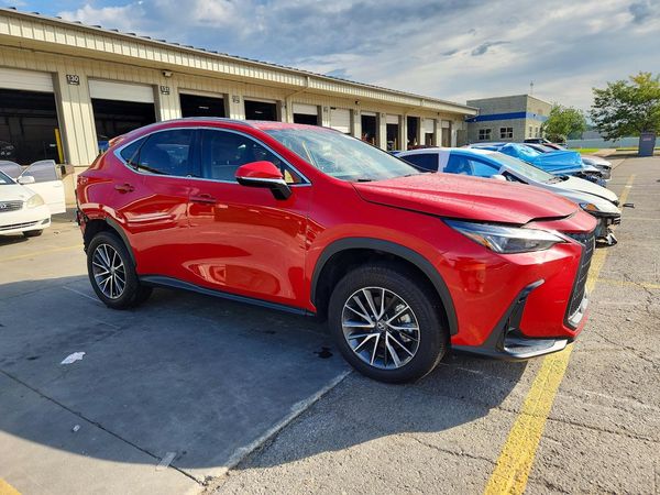 2024 LEXUS NX