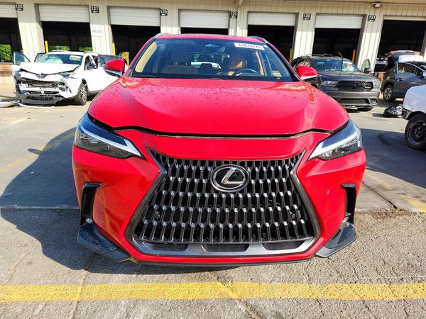 2024 LEXUS NX
