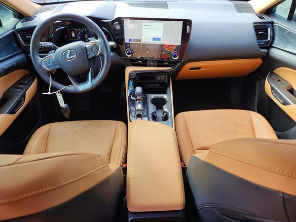 2024 LEXUS NX