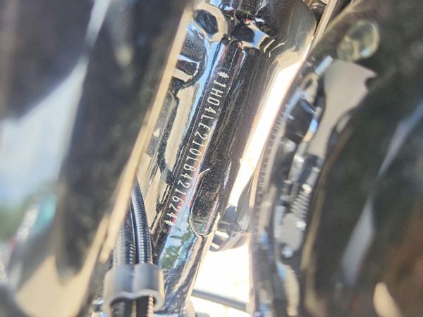 2020 HARLEY-DAVIDSON XL883 N
