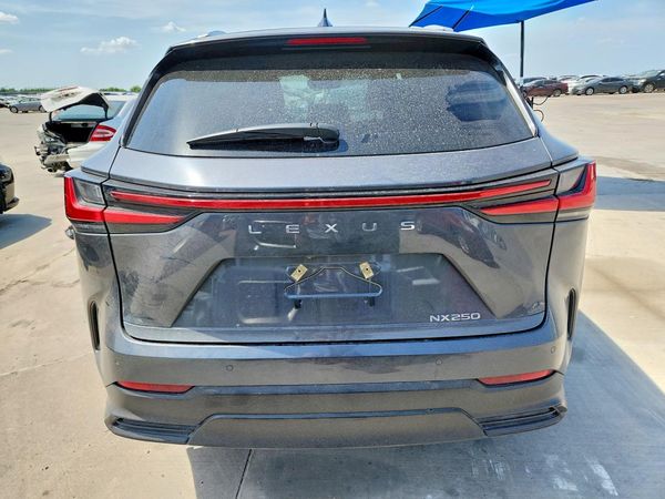 2024 LEXUS NX 350 Premium