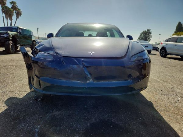 2025 TESLA MODEL 3 — DIRF