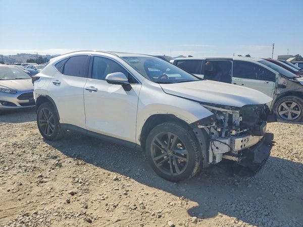 2024 LEXUS NX 450H+ 450h+ Luxury