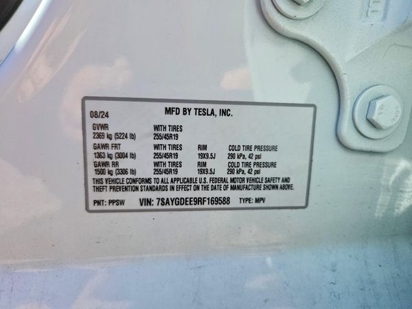 2024 TESLA MODEL Y