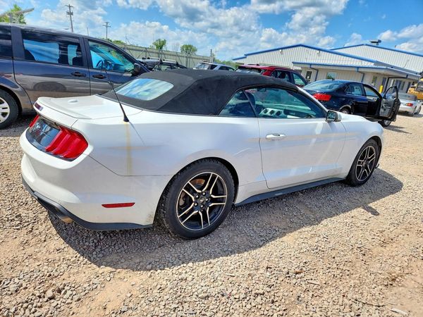 2019 FORD MUSTANG I4 Convertible