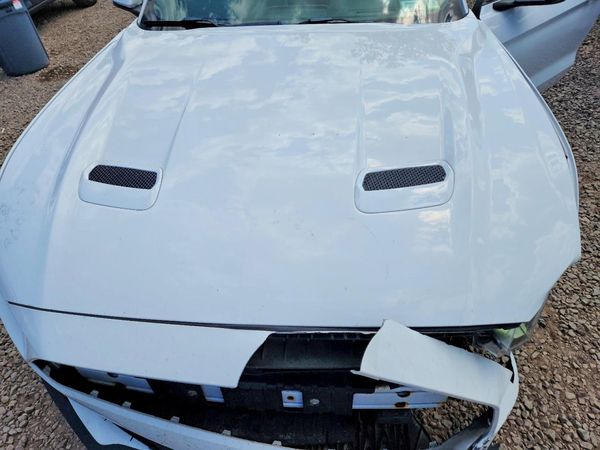 2019 FORD MUSTANG I4 Convertible