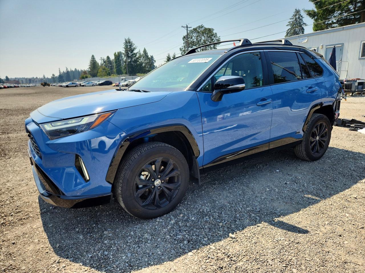 2024 TOYOTA RAV4 XSE