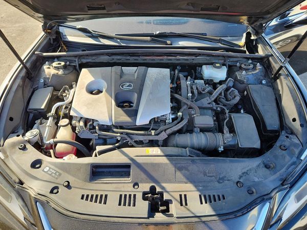 2020 LEXUS ES 300h Premium