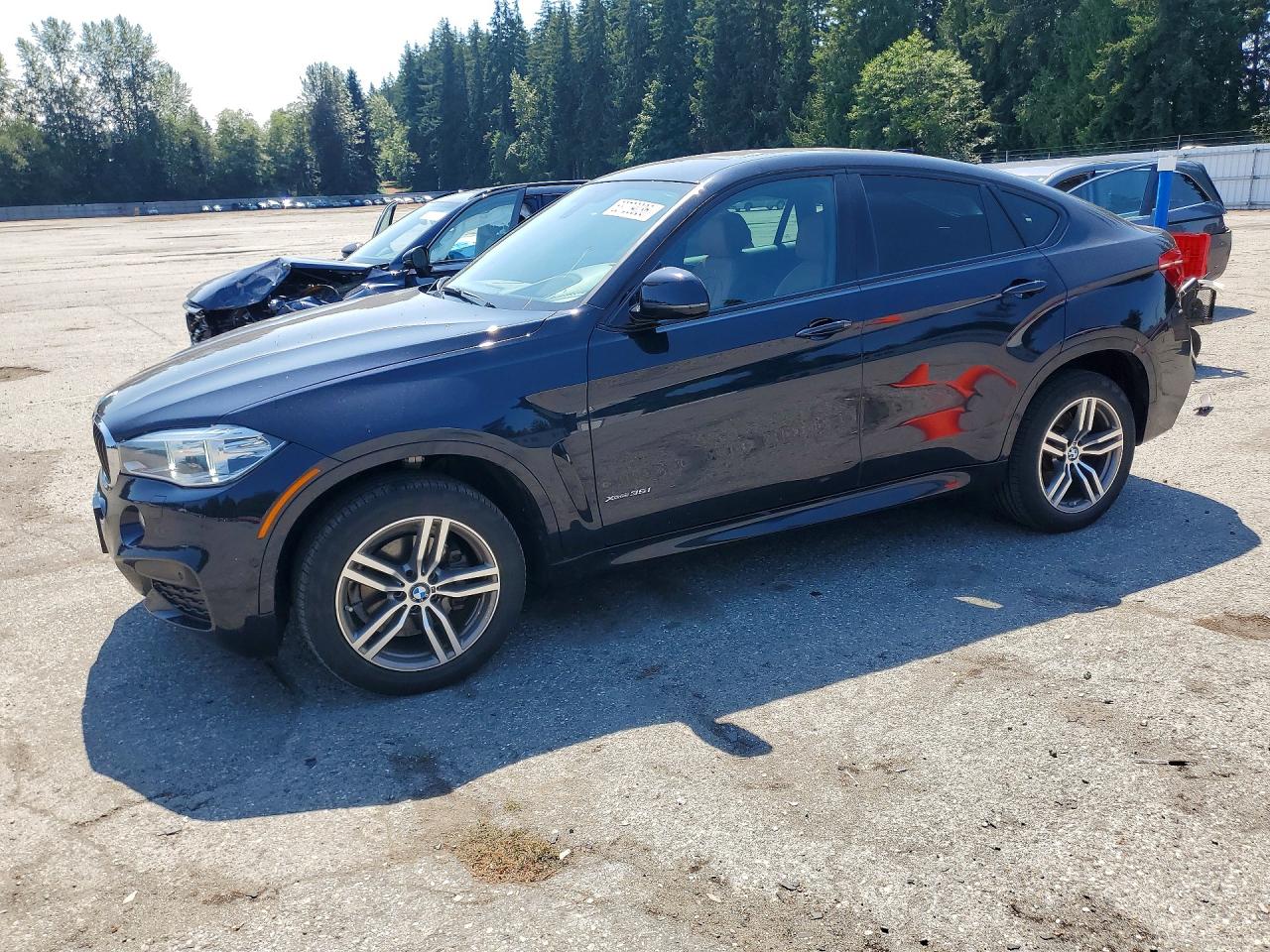 2017 BMW X6