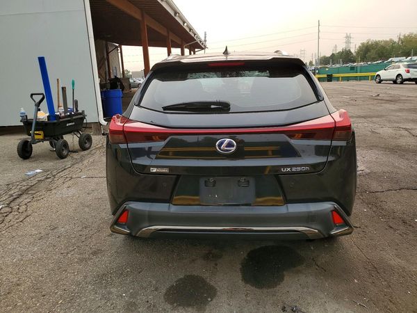 2020 LEXUS UX 250h F Sport Premium