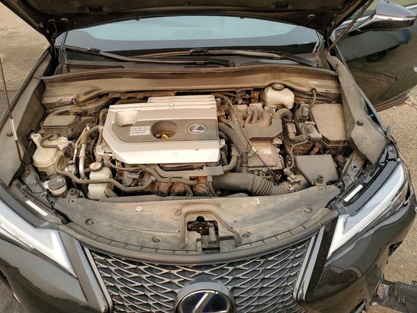 2020 LEXUS UX 250h F Sport Premium
