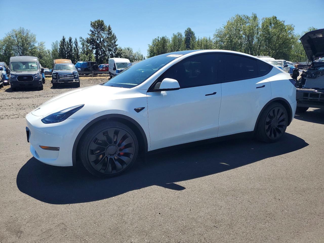 2025 TESLA MODEL Y