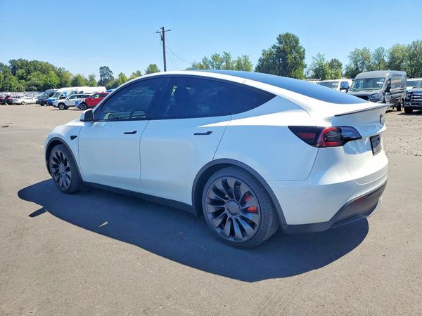 2025 TESLA MODEL Y