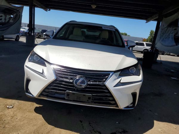 2018 LEXUS NX 300H Luxury