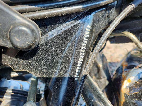 2019 HARLEY-DAVIDSON FL