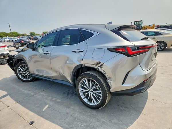 2025 LEXUS NX 350 Luxury