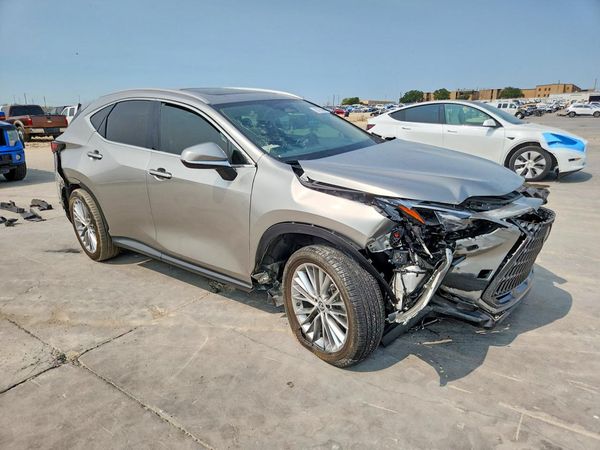 2025 LEXUS NX 350 Luxury