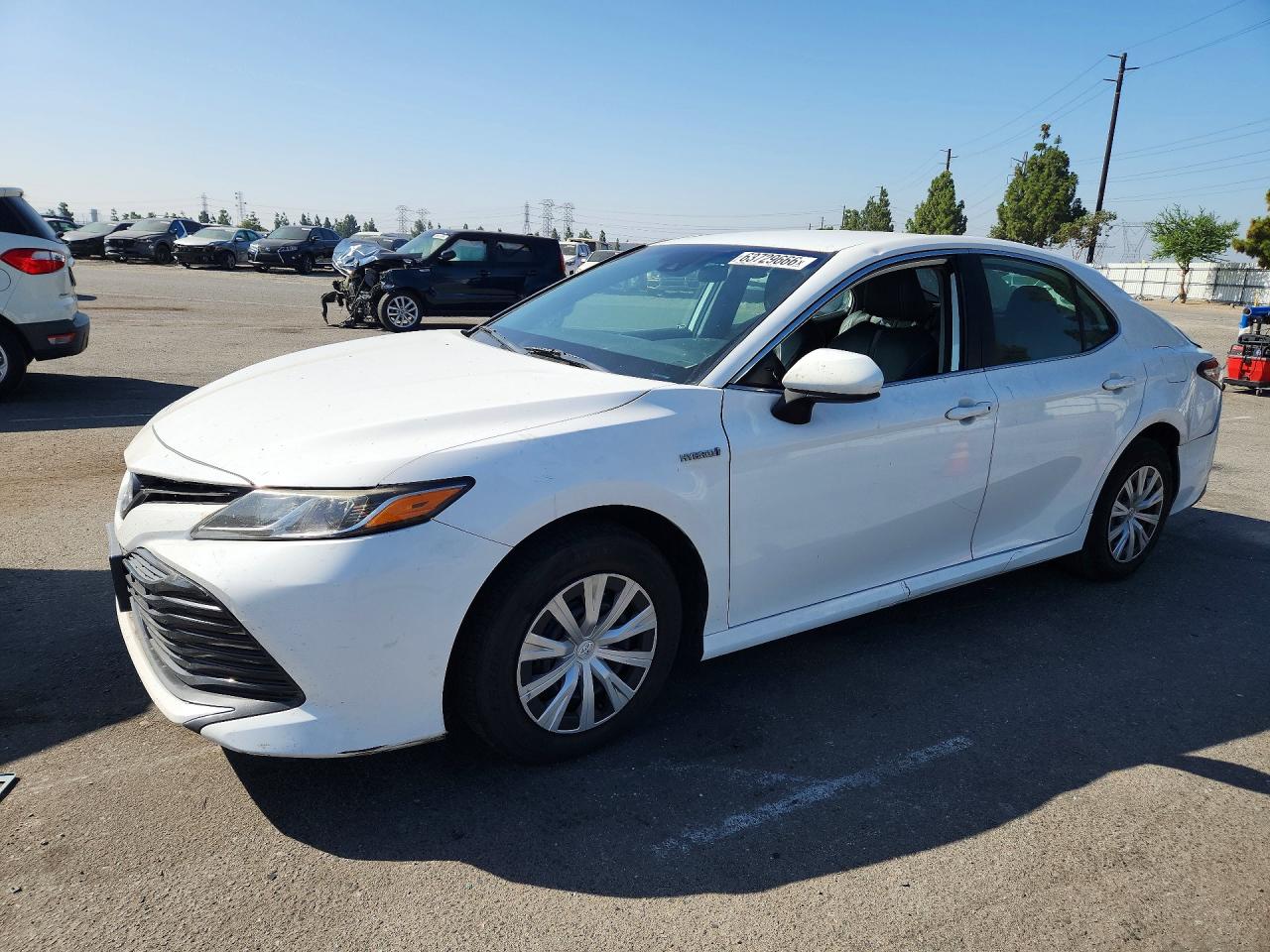 2020 TOYOTA CAMRY LE Hybrid