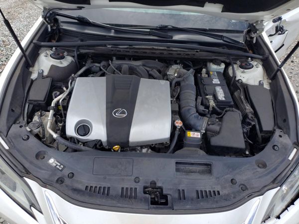 2019 LEXUS ES 350