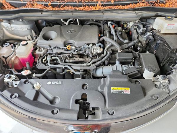 2023 TOYOTA SIENNA XSE